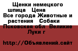 Щенки немецкого шпица › Цена ­ 20 000 - Все города Животные и растения » Собаки   . Псковская обл.,Великие Луки г.